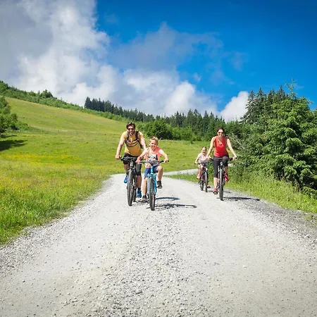 Hotel apartamentowy Zell Am 4*