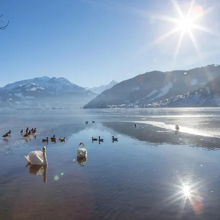 Zell Am