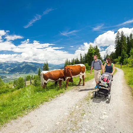 Aparthotel Zell Am Zell am See