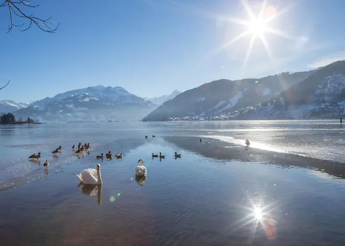 Zell Am